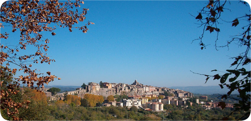 Vasanello Arte, Storia e cultura